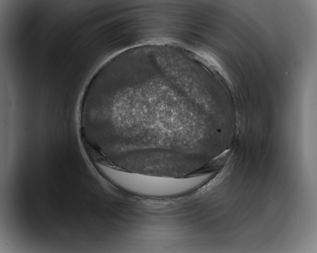 X0000088921046200707061400