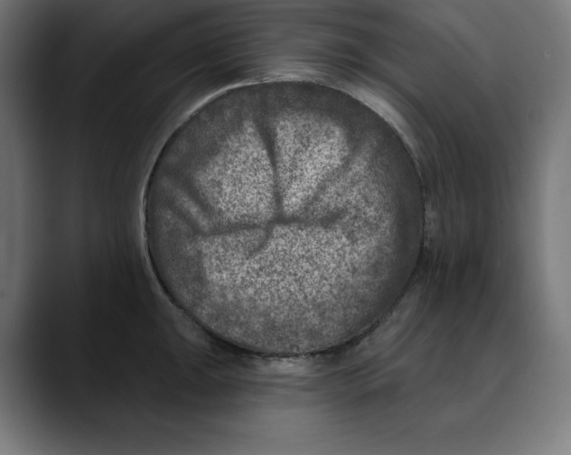 X0000088921047200707061400