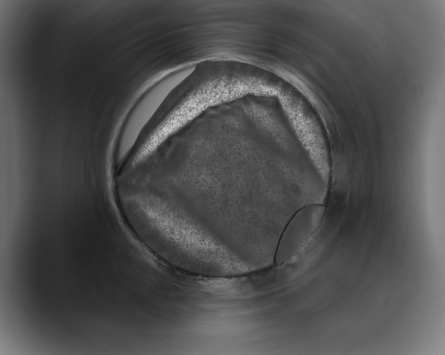 X0000088921048200707061400