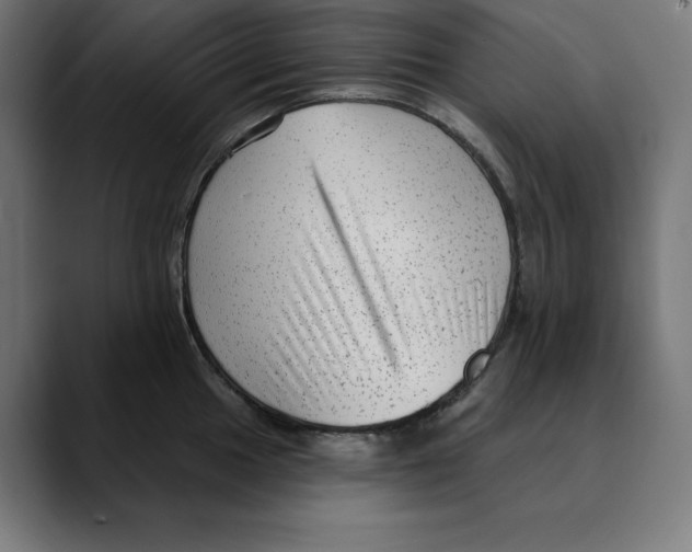 X0000088921049200707061400