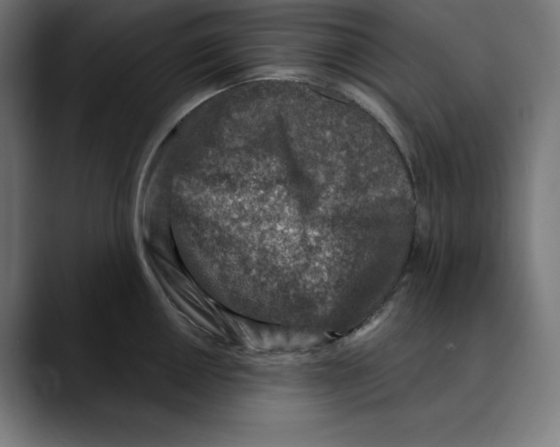 X0000088921050200707061400