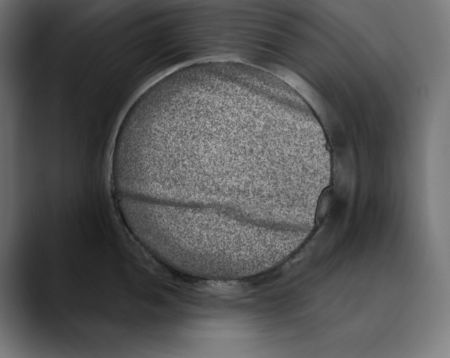 X0000088921052200707061400