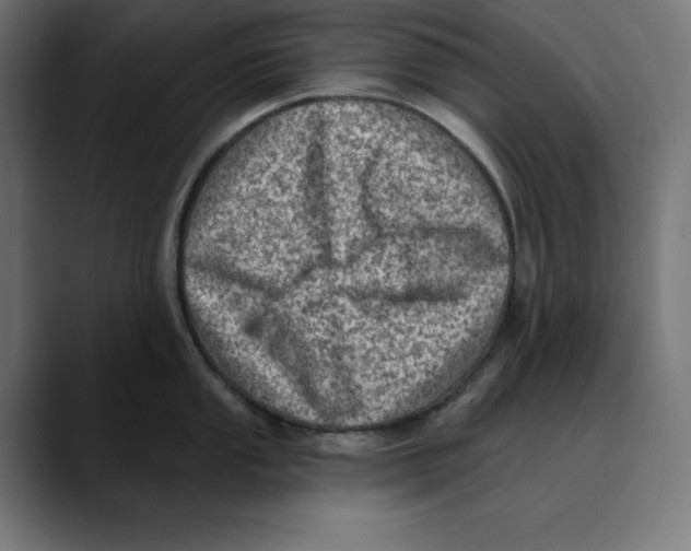 X0000088921053200707061400