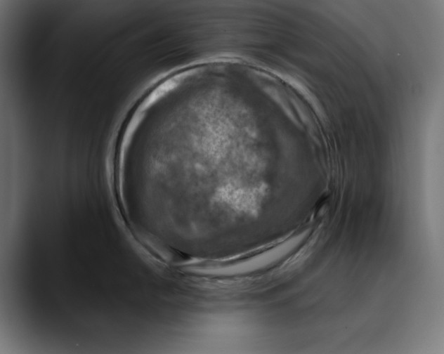 X0000088921054200707061400