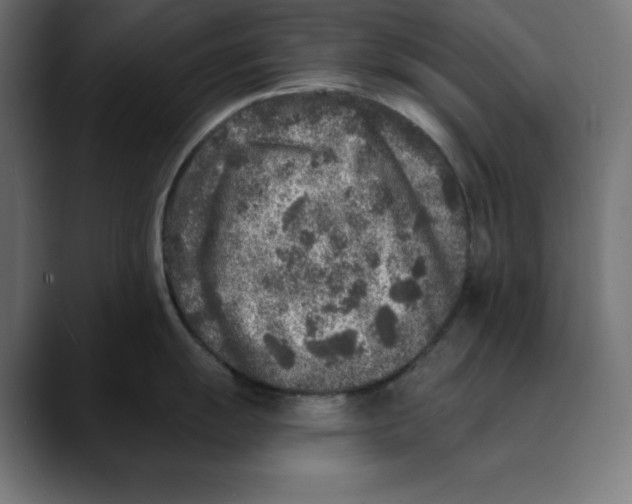 X0000088921055200707061400