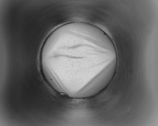 X0000088921056200707061400