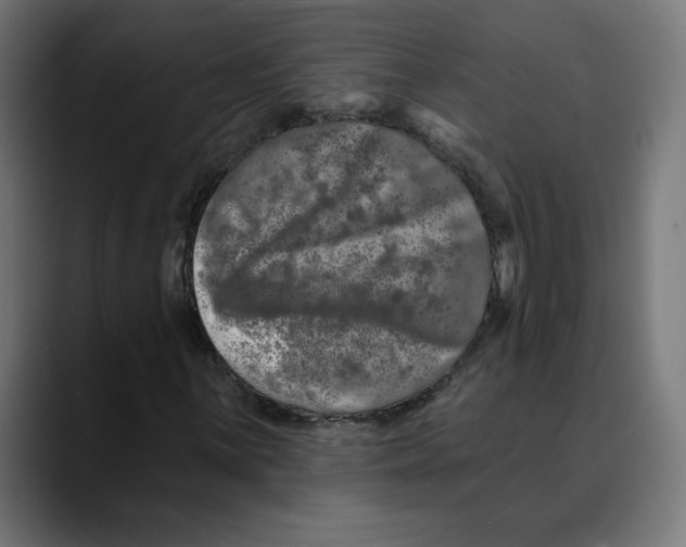 X0000088921059200707061359
