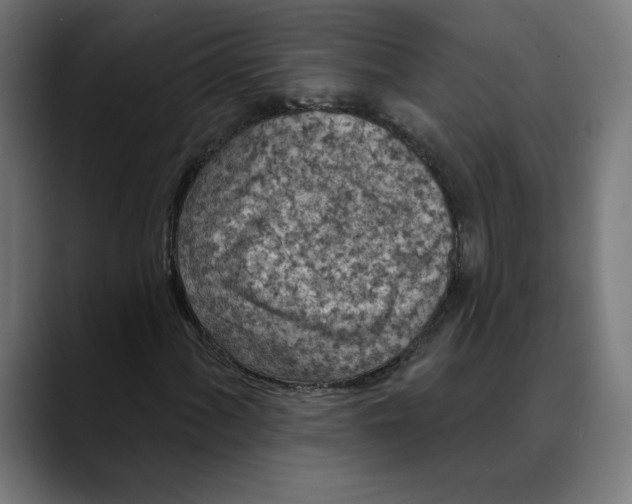 X0000088921060200707061359