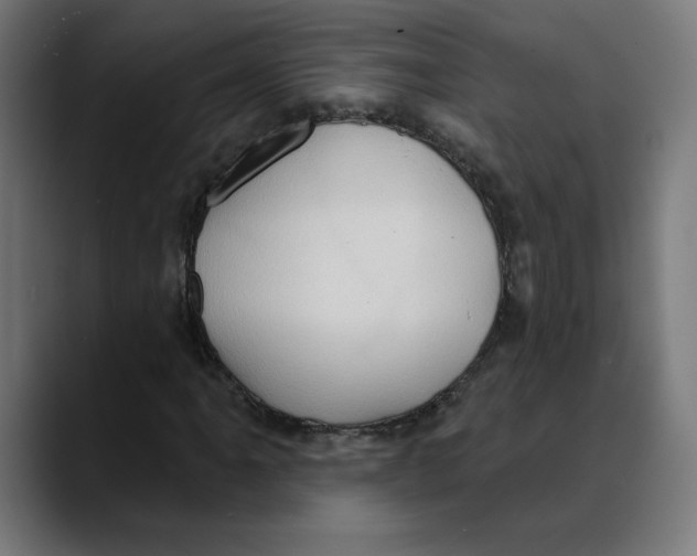 X0000088921061200707061359