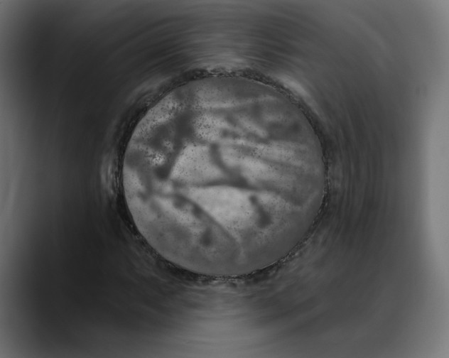X0000088921063200707061359