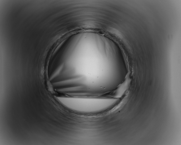 X0000088921065200707061359