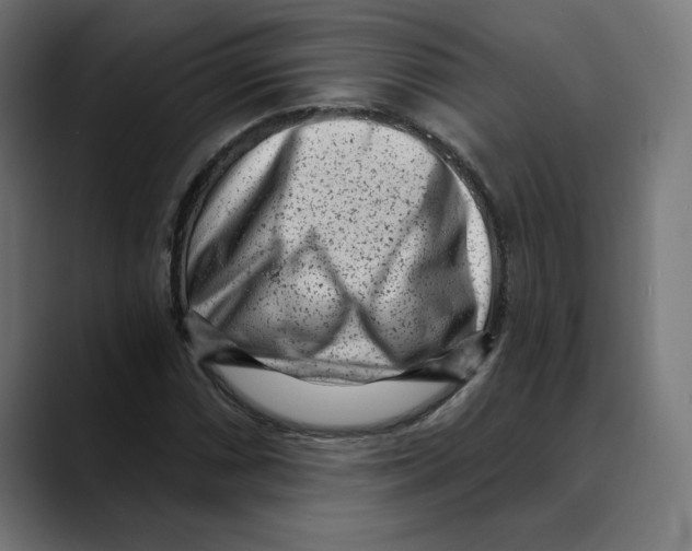 X0000088921066200707061359