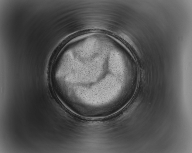 X0000088921068200707061359