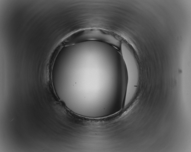 X0000088921069200707061359