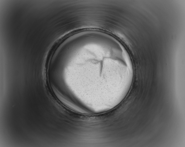 X0000088921072200707061359