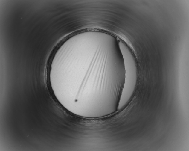 X0000088921076200707061359