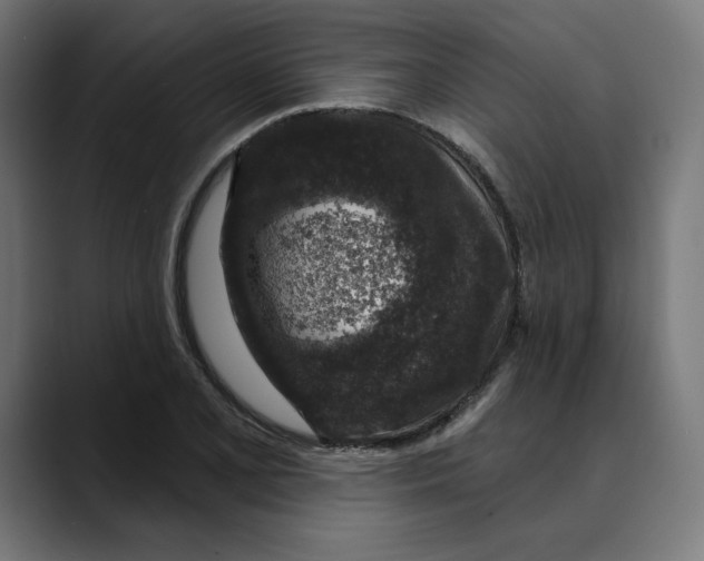 X0000088921077200707061359