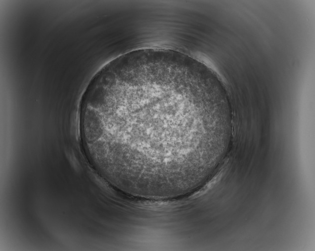 X0000088921079200707061359