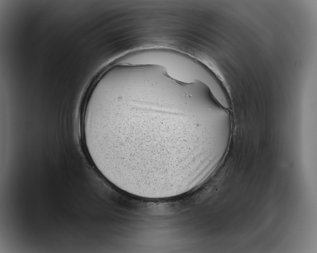 X0000088921080200707061359