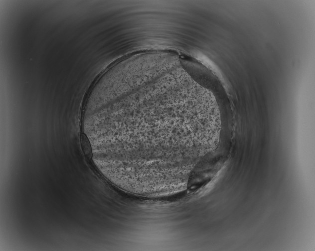 X0000088921081200707061359