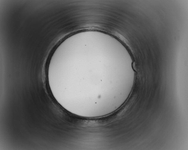 X0000088921082200707061359