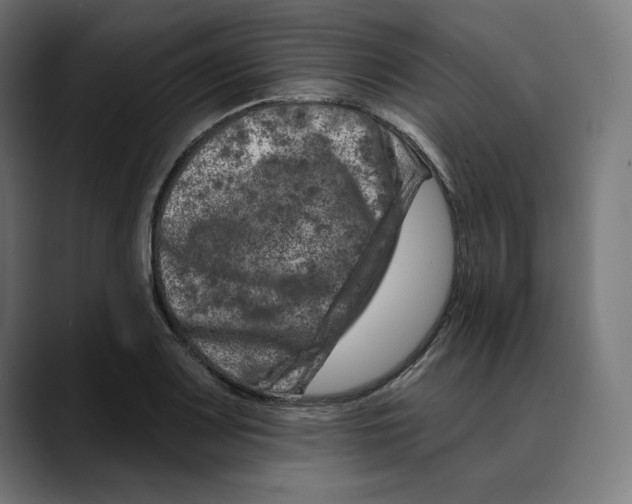 X0000088921083200707061359