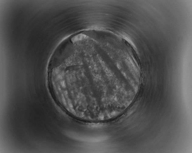 X0000088921087200707061359