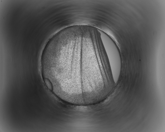 X0000088921088200707061359
