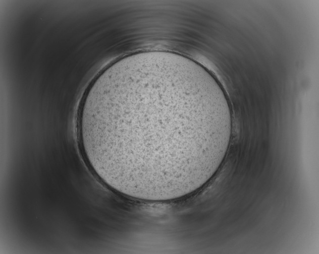 X0000088921090200707061359