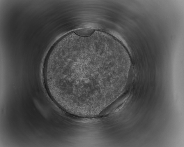 X0000088921091200707061359