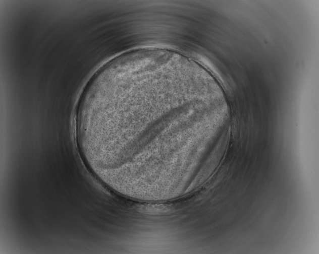 X0000088921092200707061359
