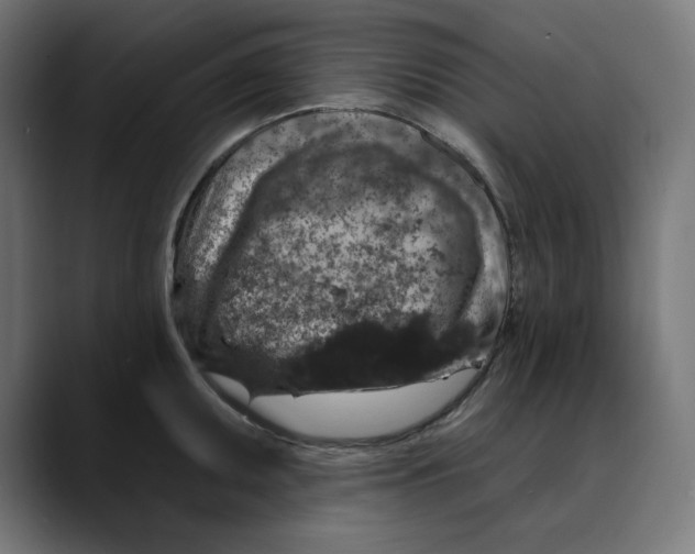 X0000088921095200707061359