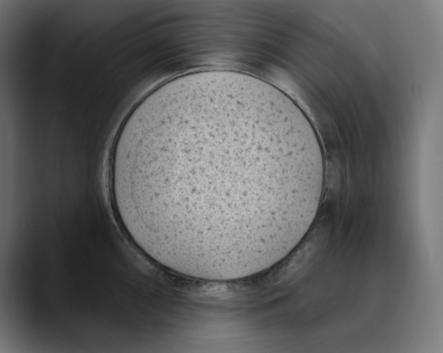 X0000088921098200707061359
