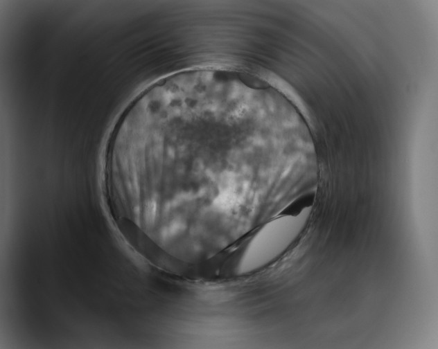 X0000088921099200707061359