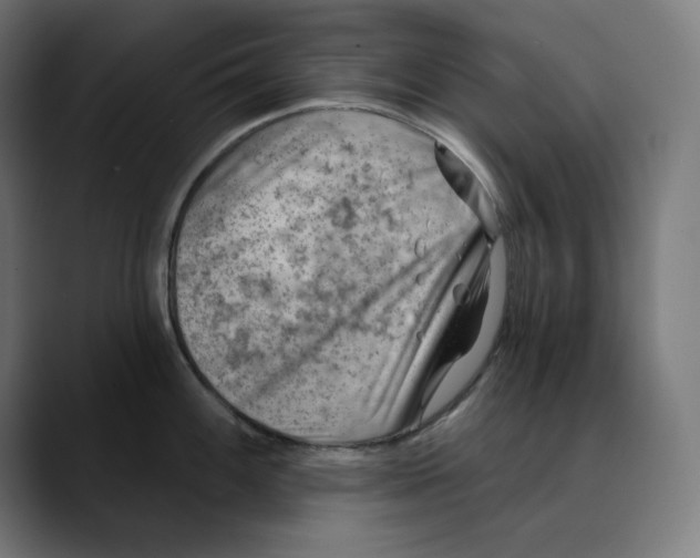 X0000088921100200707061359