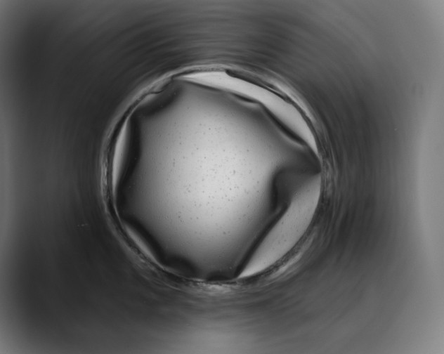 X0000088921101200707061359