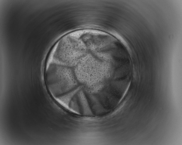 X0000088921102200707061359