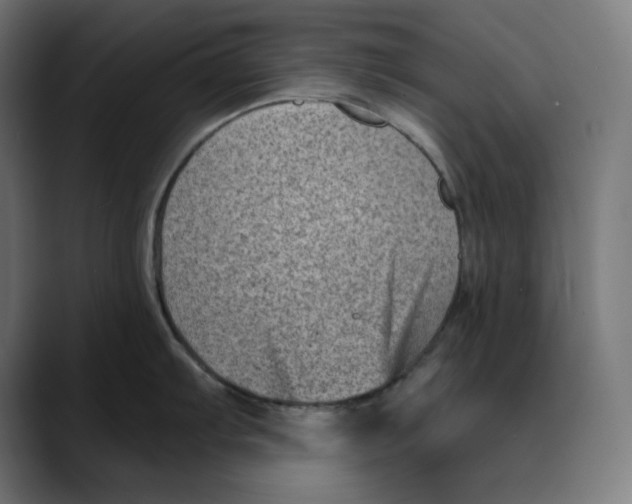 X0000088921103200707061359