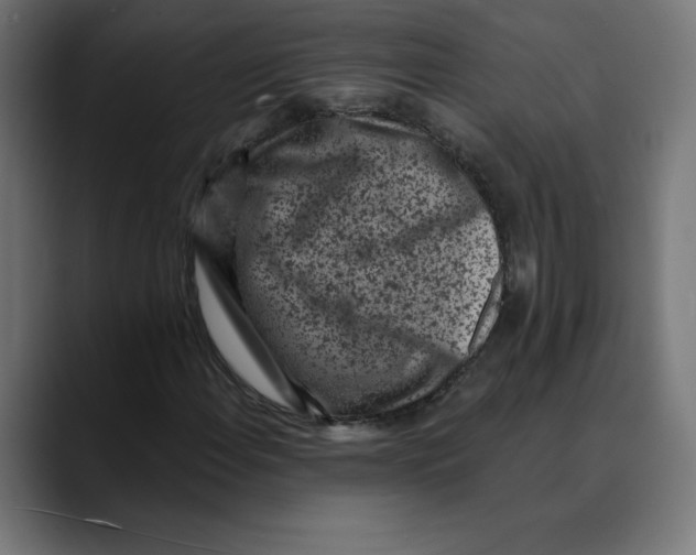 X0000088921108200707061358