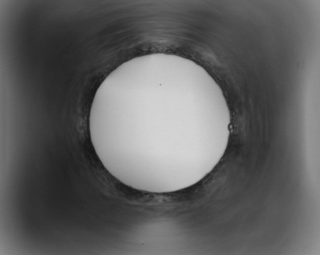 X0000088921109200707061358