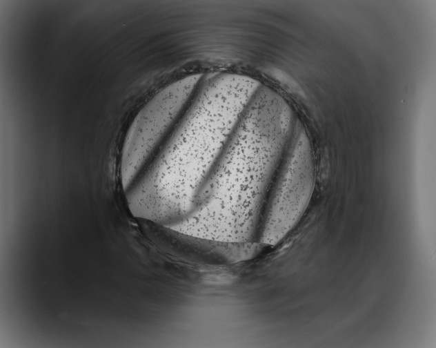 X0000088921110200707061358