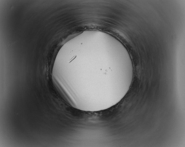 X0000088921111200707061358