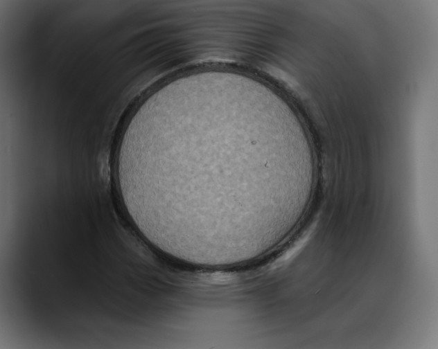 X0000088921113200707061358