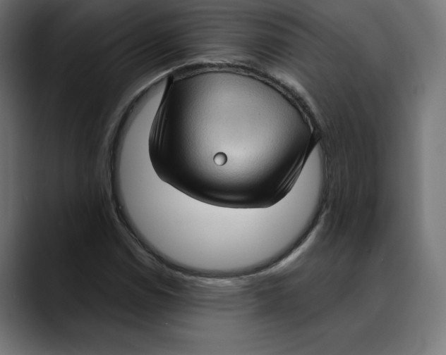 X0000088921114200707061358