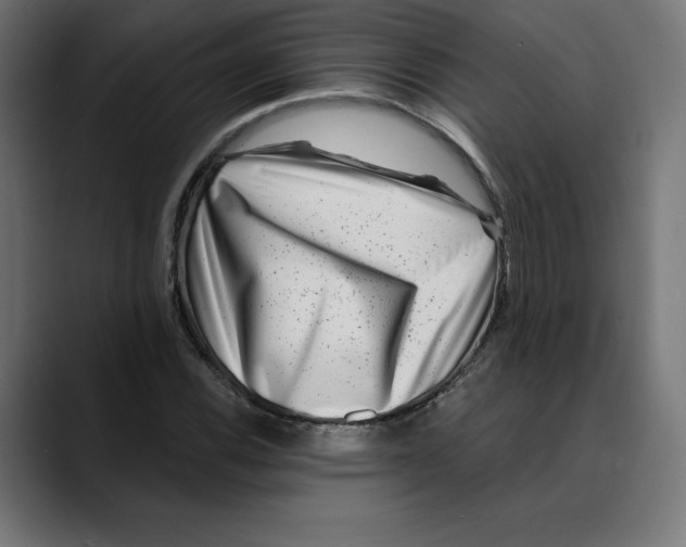 X0000088921116200707061358