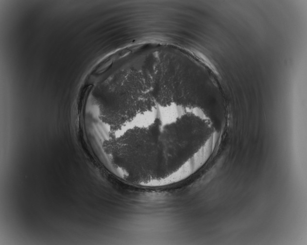 X0000088921117200707061358
