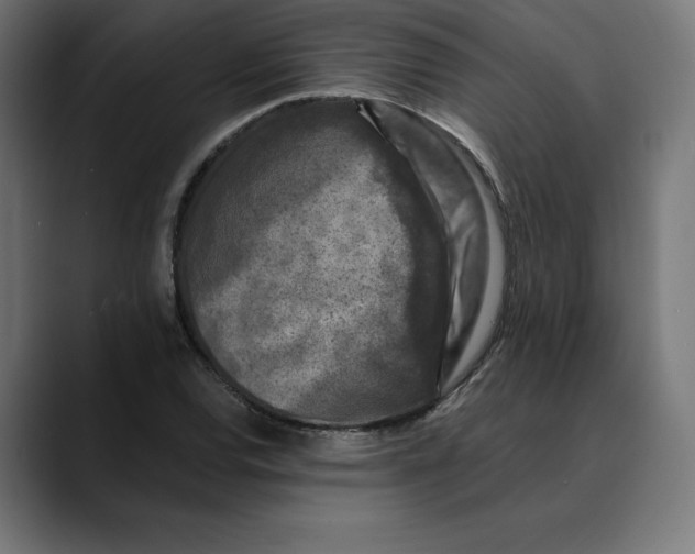 X0000088921120200707061358