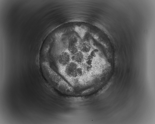 X0000088921121200707061358
