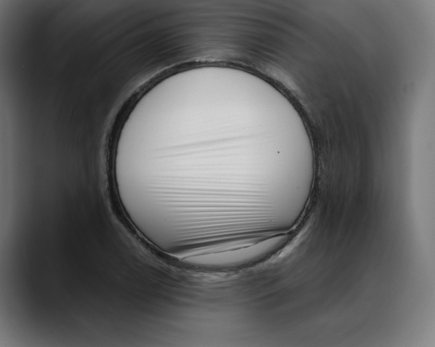 X0000088921122200707061358