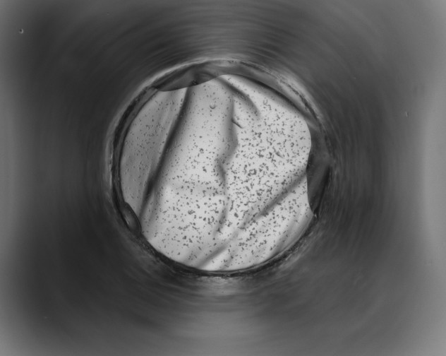 X0000088921124200707061358